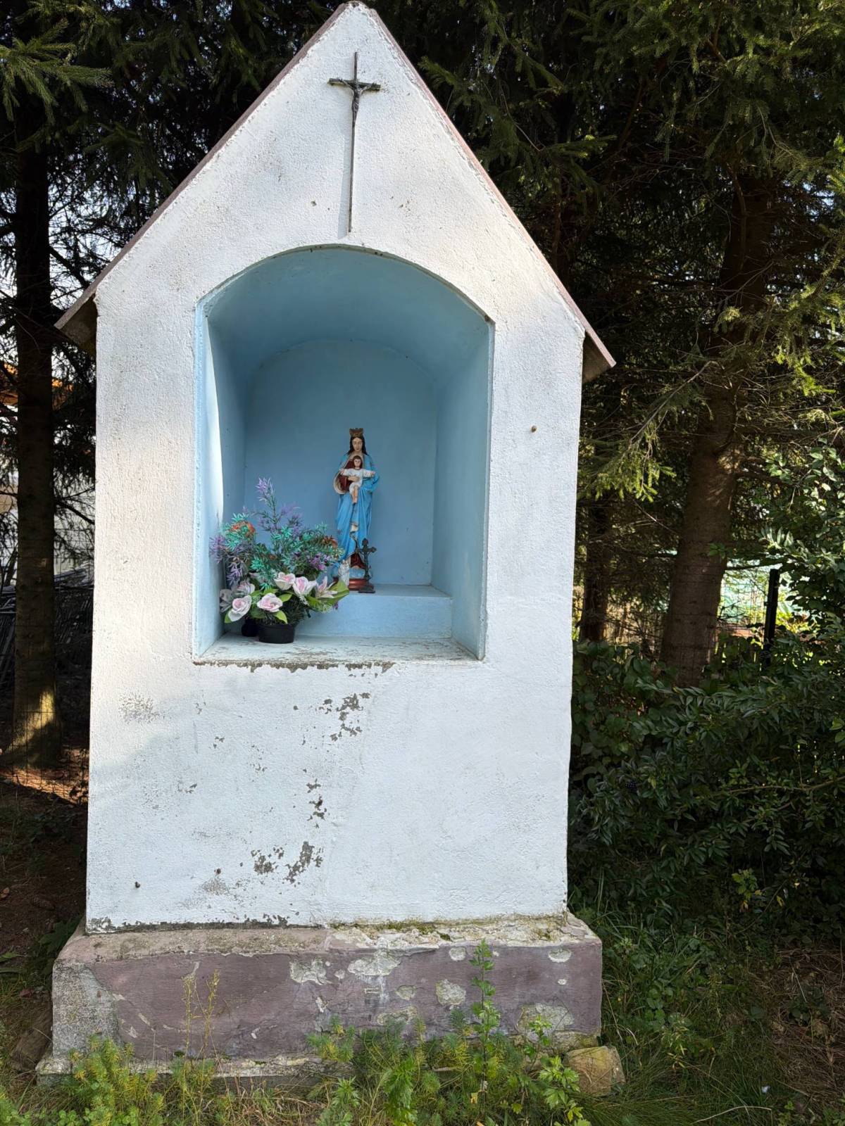 Zdjęcie 5