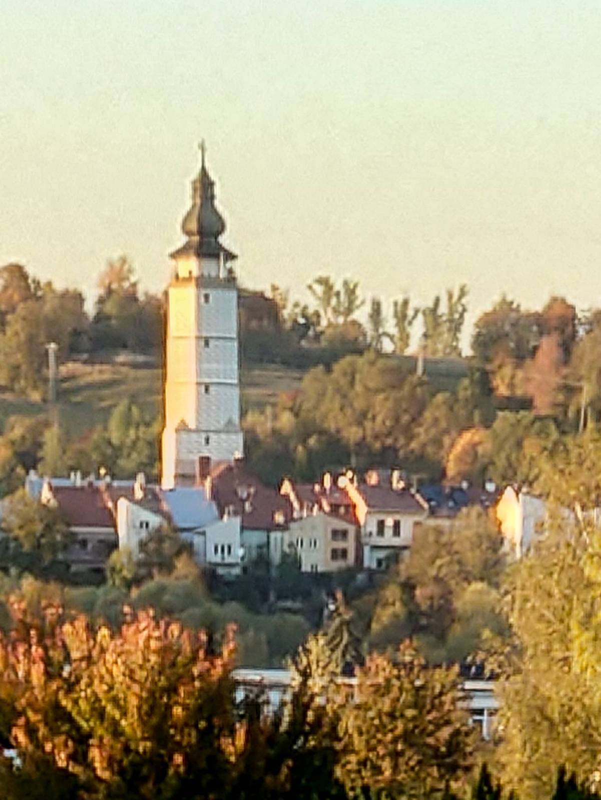 Zdjęcie 1