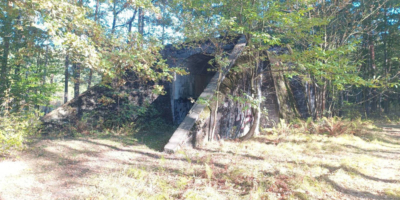 Zdjęcie 5