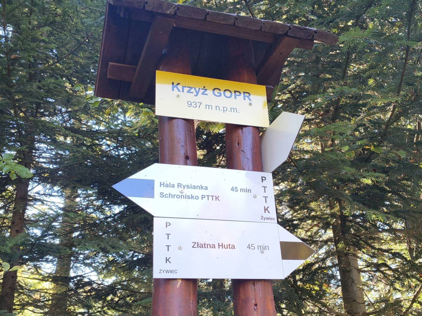 Zdjęcie 6