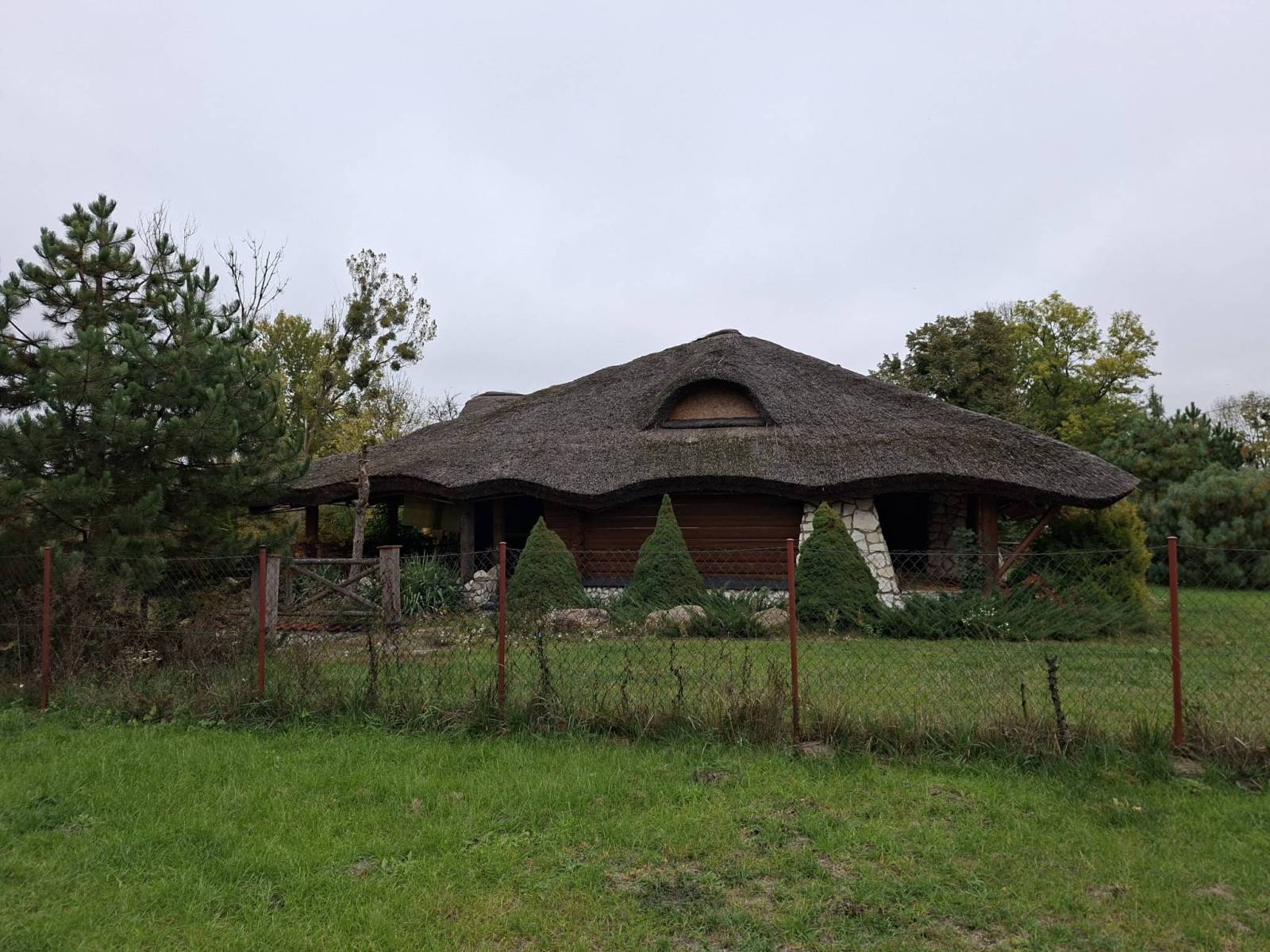 Zdjęcie 6