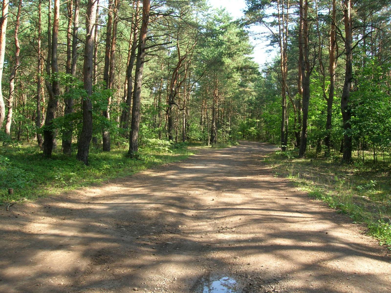 Zdjęcie 4