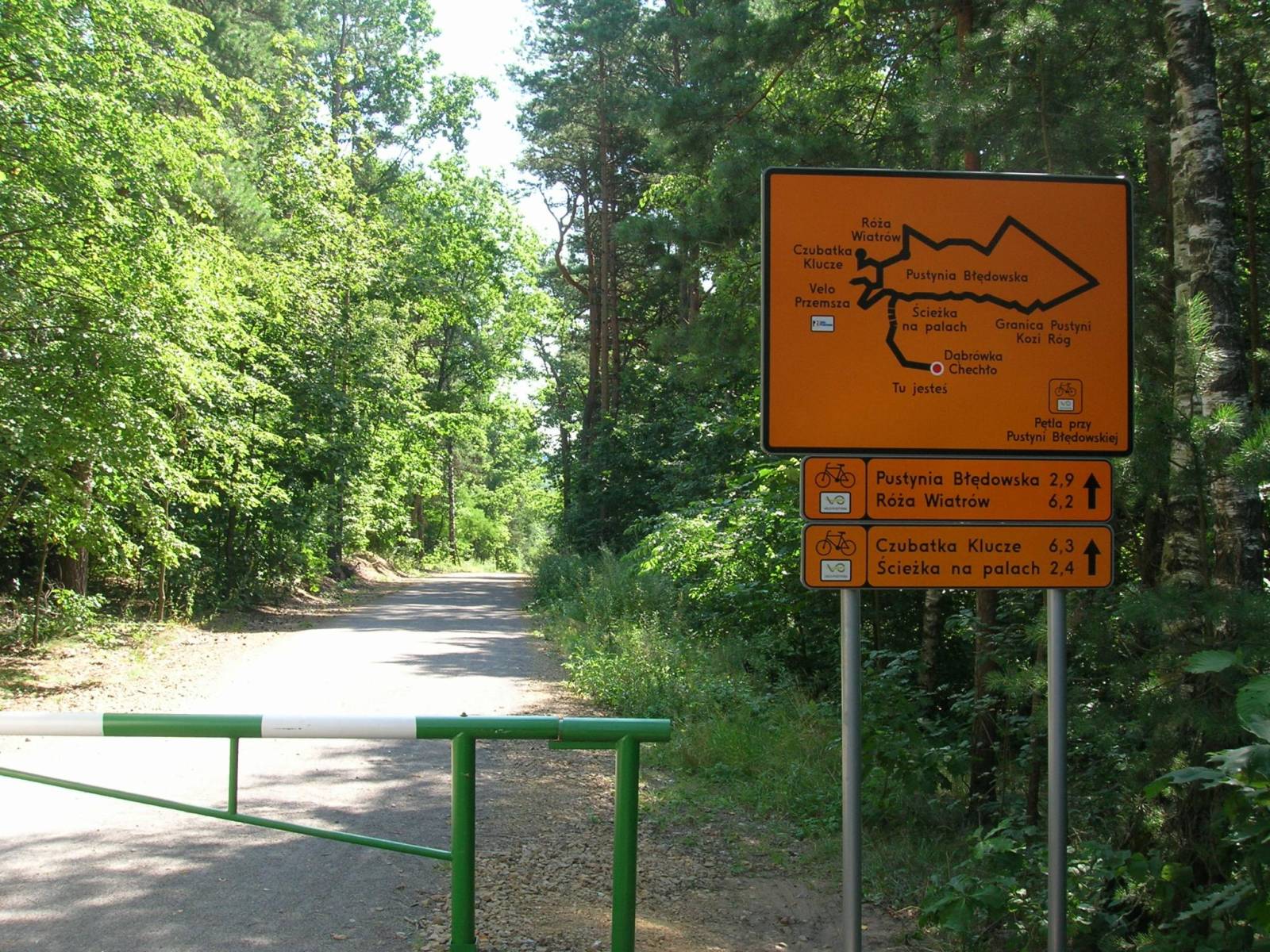 Zdjęcie 5