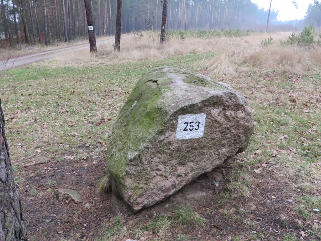 Zdjęcie 2