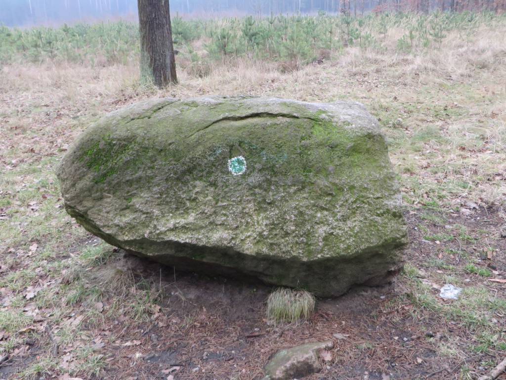 Zdjęcie 3