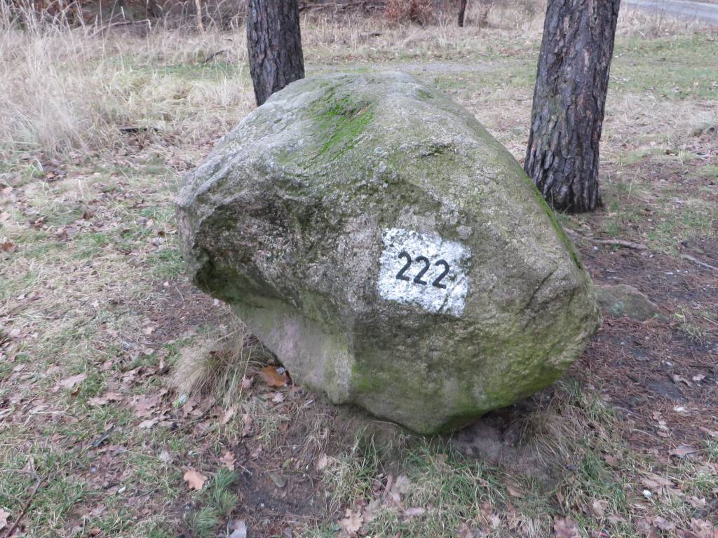 Zdjęcie 4