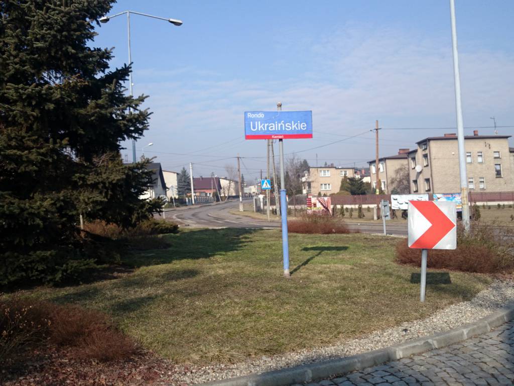 Zdjęcie 6
