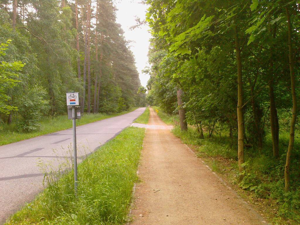 Zdjęcie 3