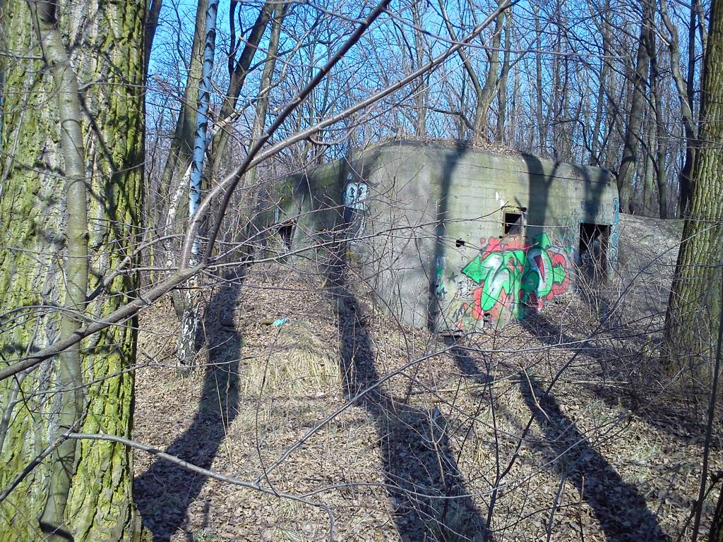Zdjęcie 6