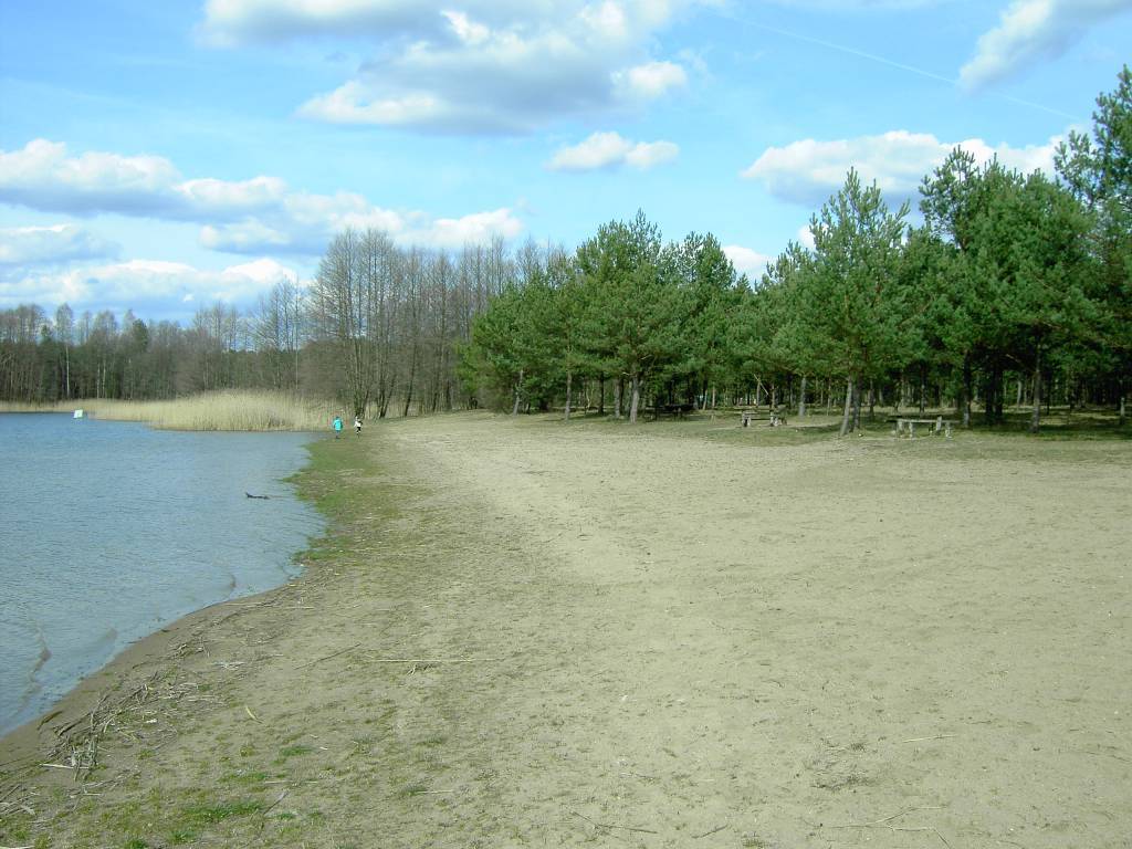Zdjęcie 6