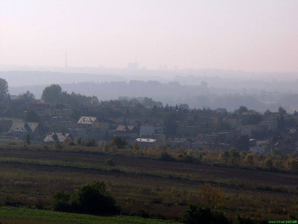 Zdjęcie 5