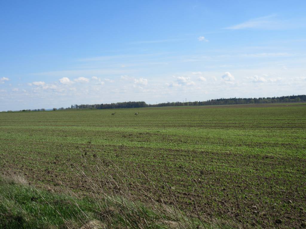 Zdjęcie 2
