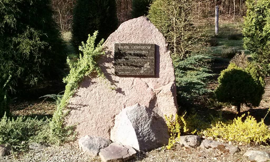 Zdjęcie 6