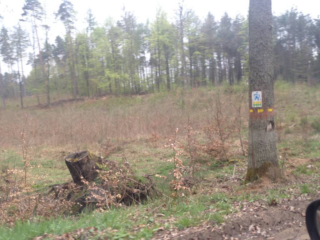 Zdjęcie 5