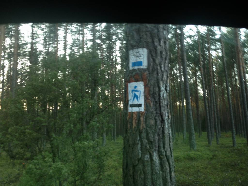 Zdjęcie 4