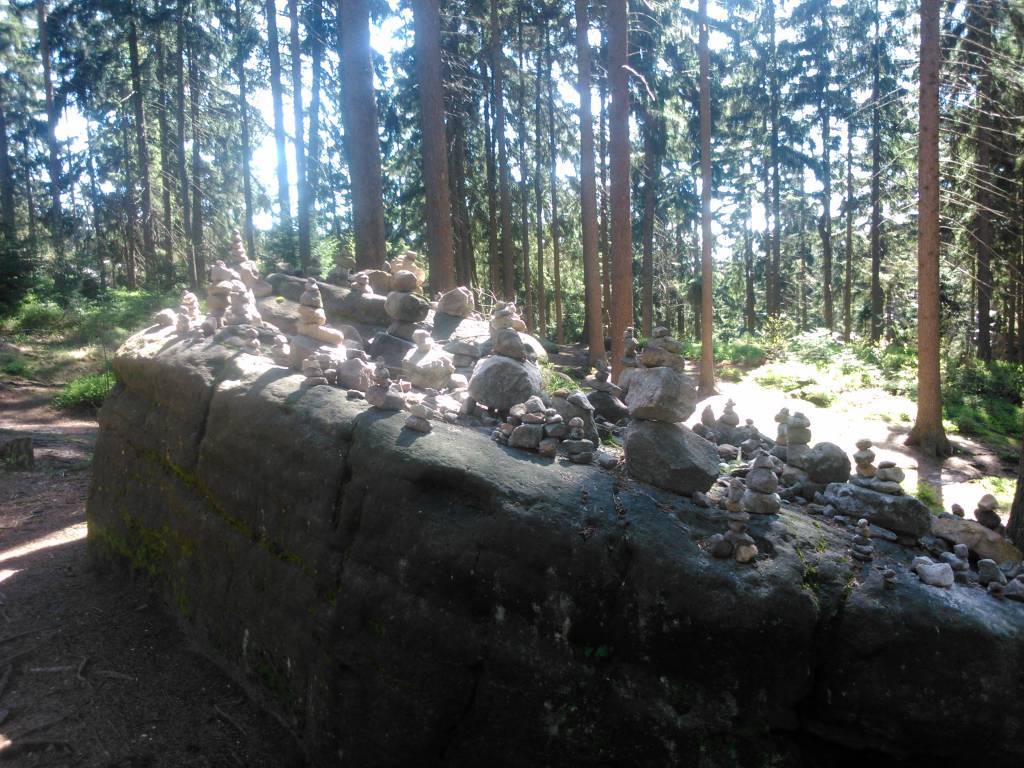 Zdjęcie 6