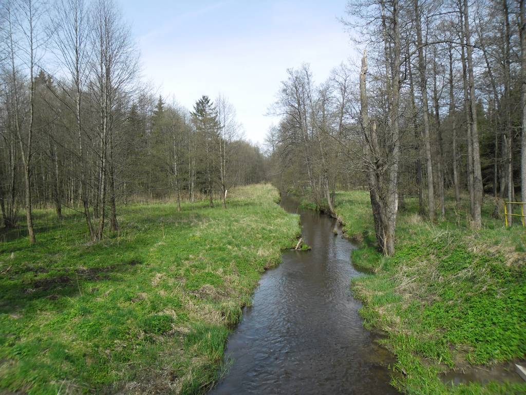 Zdjęcie 6