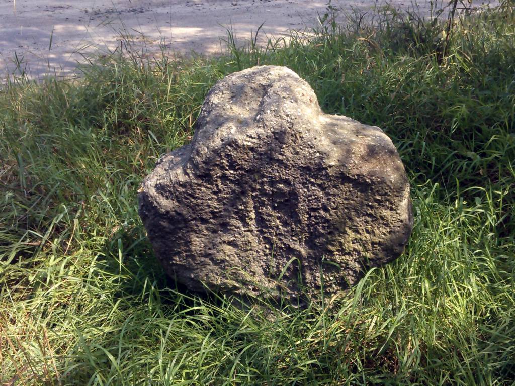 Zdjęcie 6
