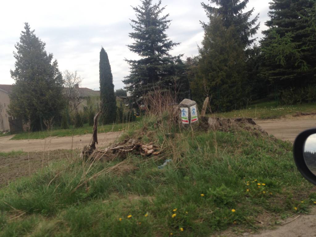 Zdjęcie 6