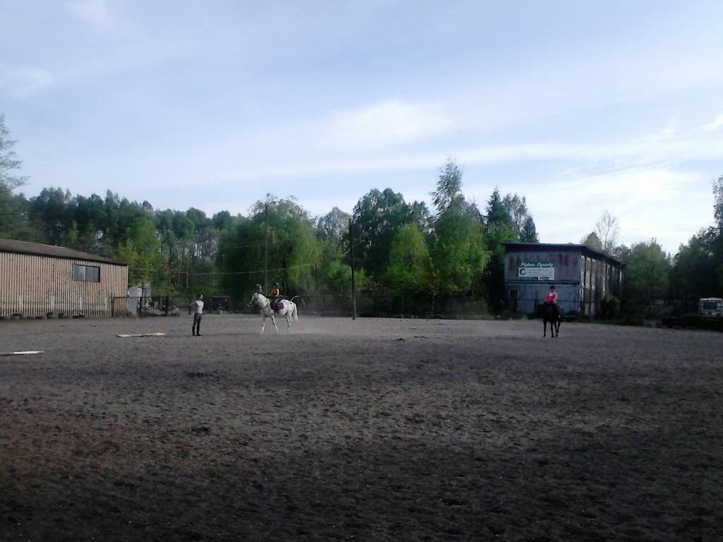 Zdjęcie 2