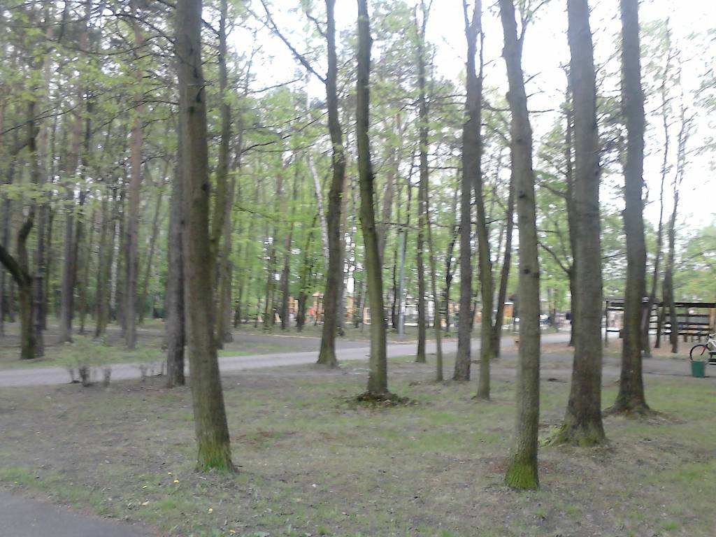 Zdjęcie 6