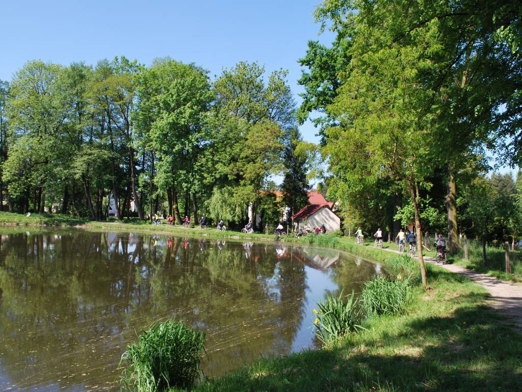 Zdjęcie 2