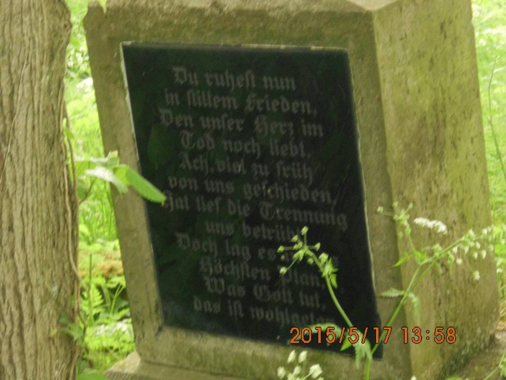 Zdjęcie 6