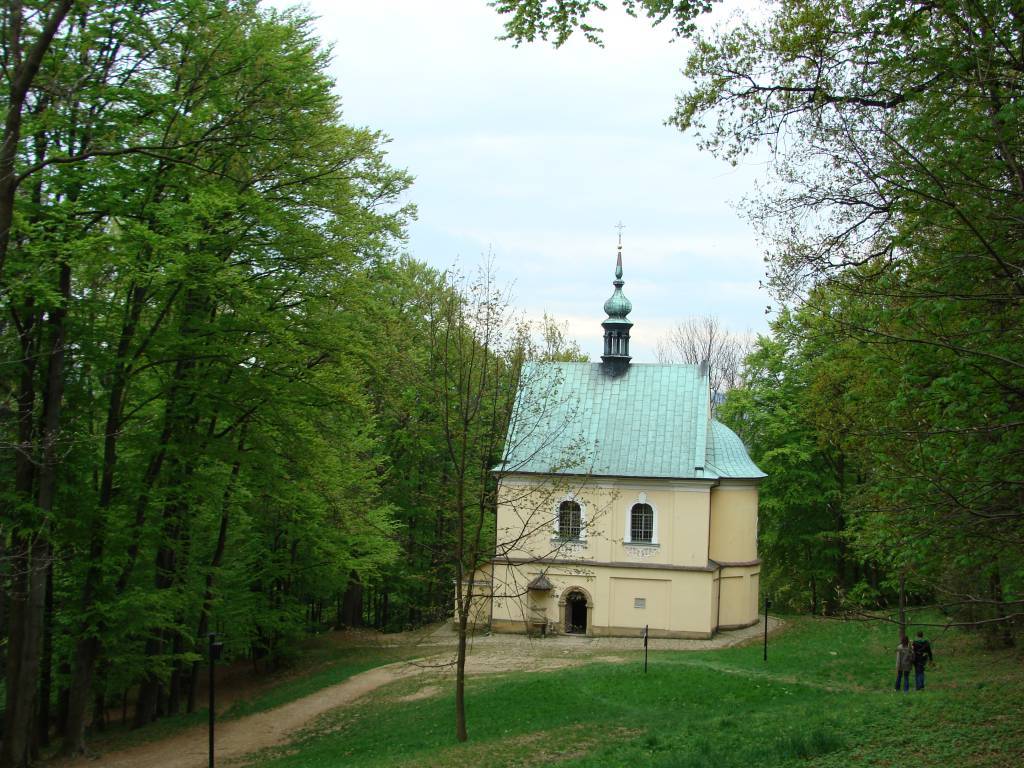 Zdjęcie 3