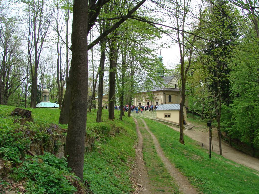 Zdjęcie 5