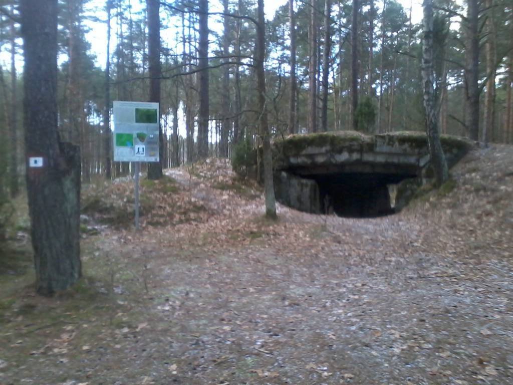 Zdjęcie 6