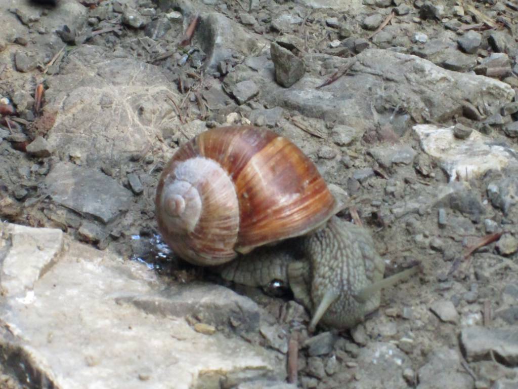 Zdjęcie 5