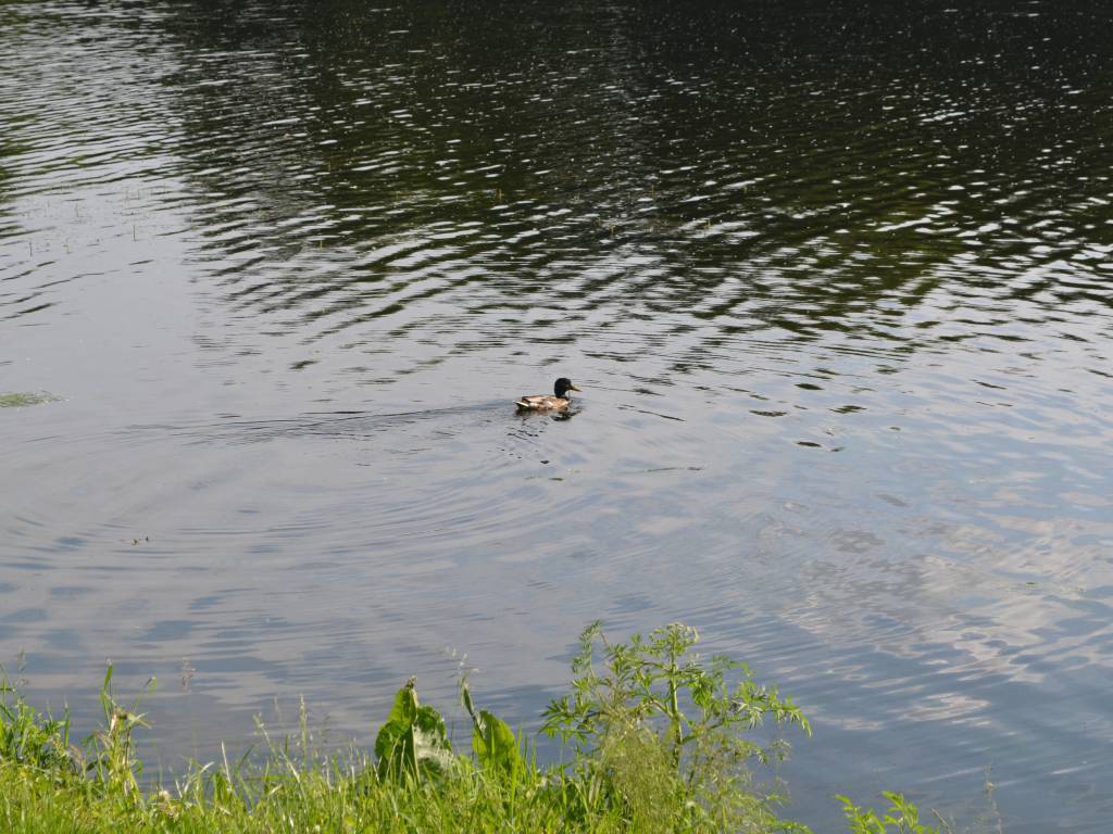 Zdjęcie 6