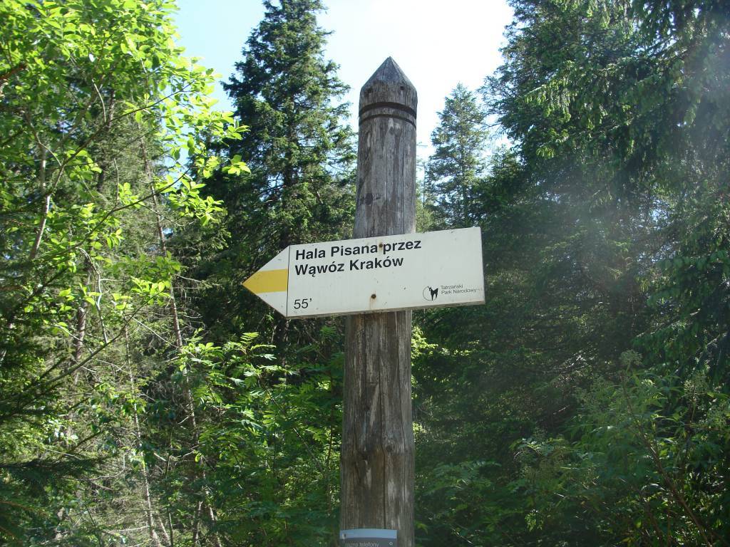 Zdjęcie 3
