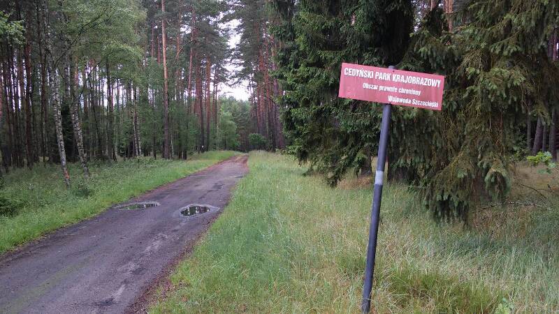 Zdjęcie 4
