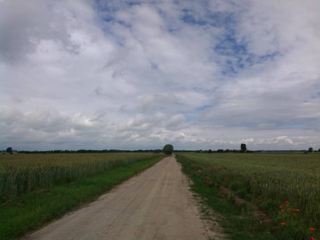 Zdjęcie 5