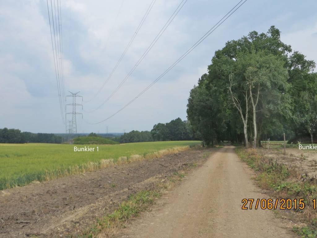 Zdjęcie 5
