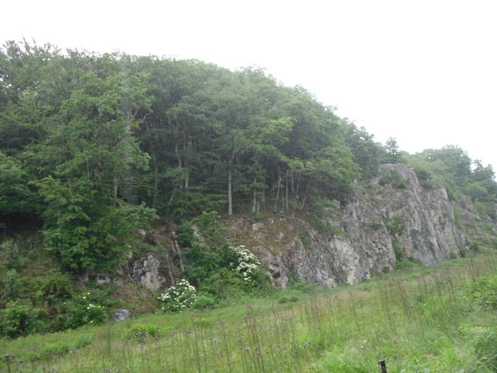 Zdjęcie 6