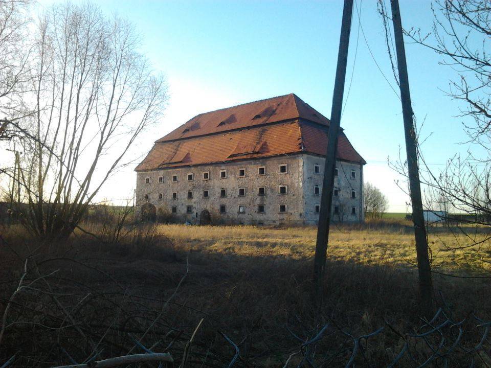 Photo 4
