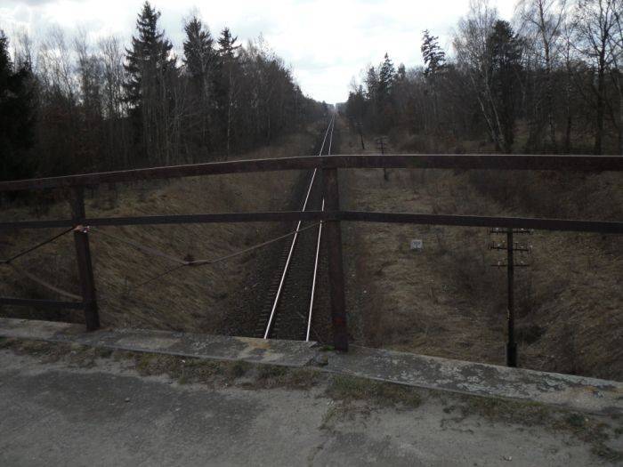 Zdjęcie 3