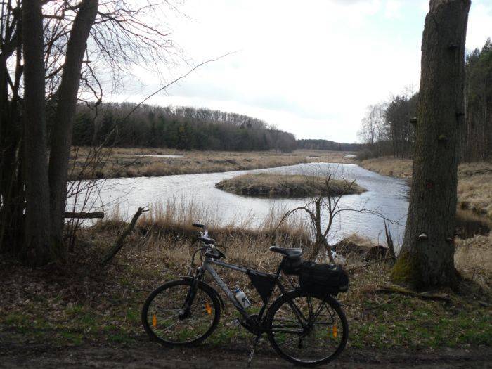 Zdjęcie 6