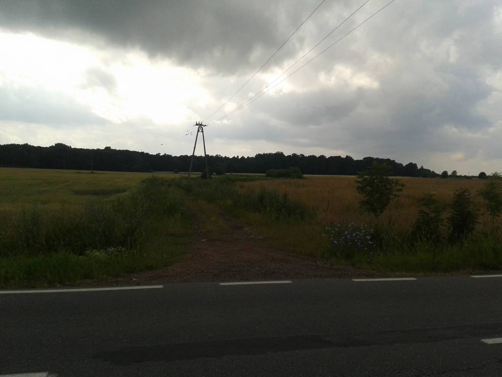 Zdjęcie 6