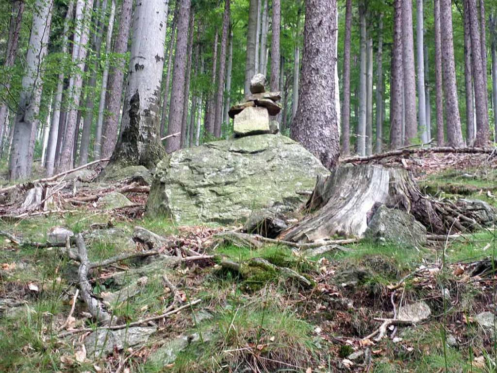 Zdjęcie 6