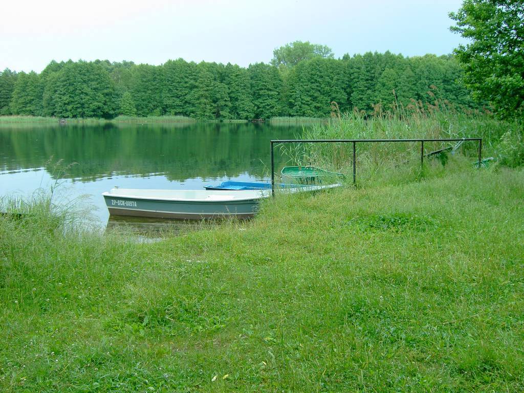 Zdjęcie 2