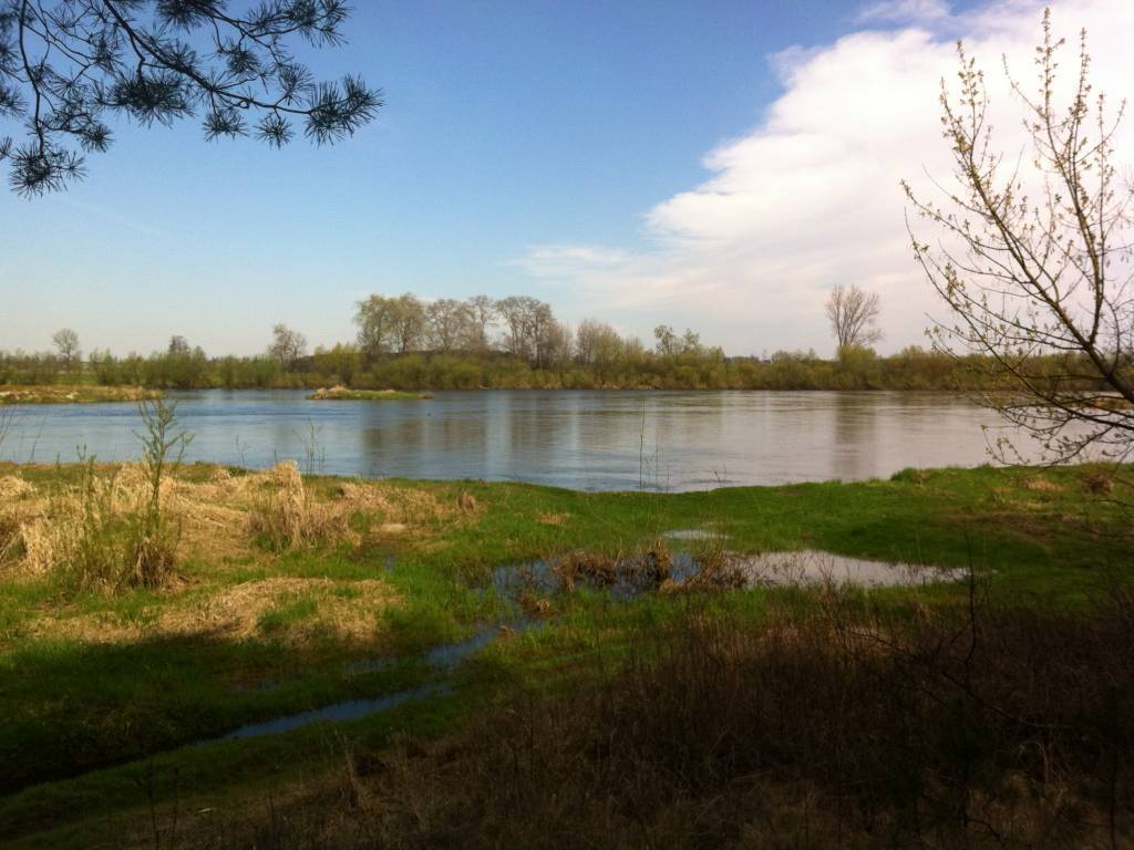 Zdjęcie 6