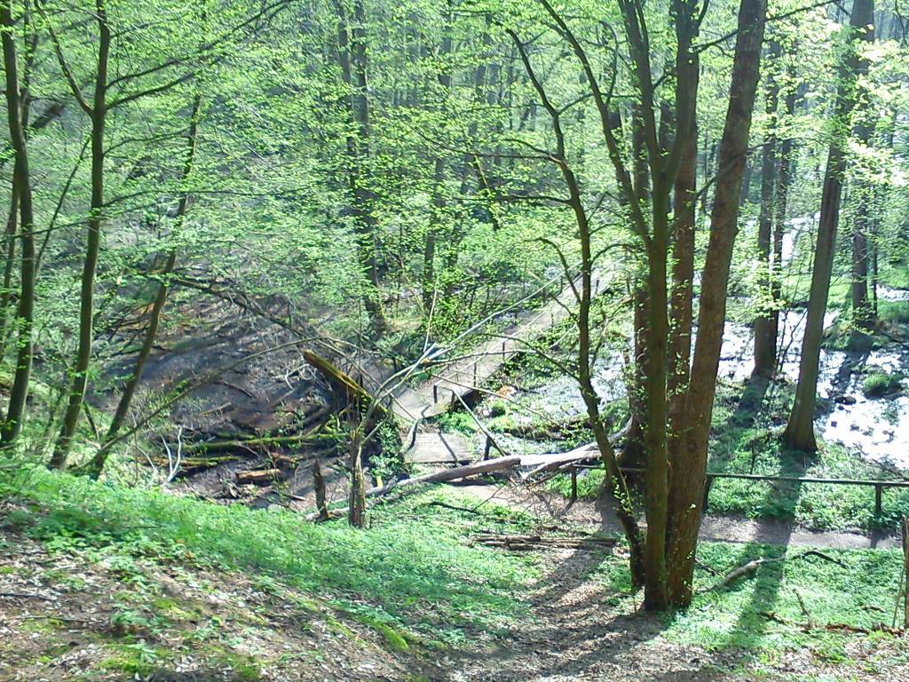 Zdjęcie 6
