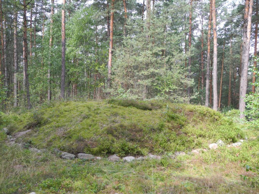Zdjęcie 3