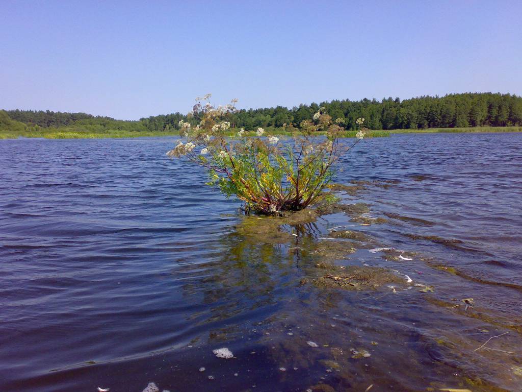 Zdjęcie 4