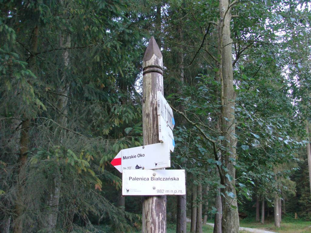 Zdjęcie 2