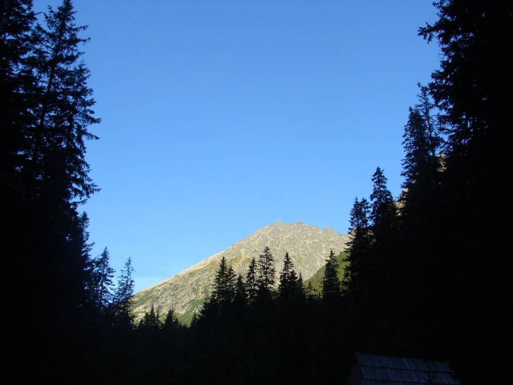 Zdjęcie 6