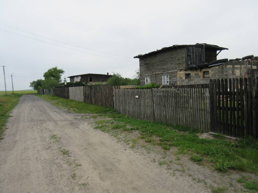 Zdjęcie 2